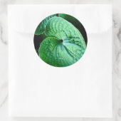 Hosta Heart Runder Aufkleber (Tasche)