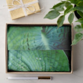 Hosta Heart Seidenpapier (Geschenk)