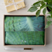 Hosta Heart Seidenpapier (Geschenk)