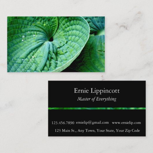 Hosta Heart Visitenkarte (Vorne/Hinten)