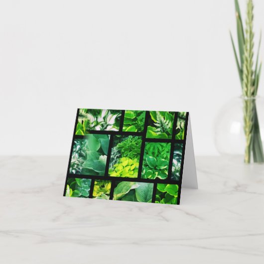 Hosta-Himmels-Anmerkungs-Karte Karte (Vorderseite)