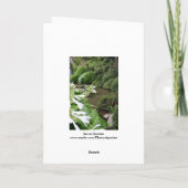 Hosta in a Zen Garden 1 Grußkarte Karte (Rückseite)