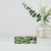 Hosta in einer MiniVisitenkarte des Zen-Garten-3 Mini Visitenkarte (Stehend Vorderseite)