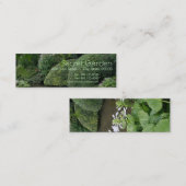 Hosta in Zen Garden 1 Mini Visitenkarte (Vorne/Hinten)