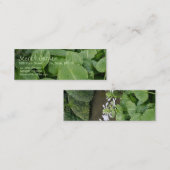 Hosta in Zen Garden 2 Mini Visitenkarte (Vorne/Hinten)