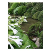 Hosta in Zen Garden Foto Print (Vorne)