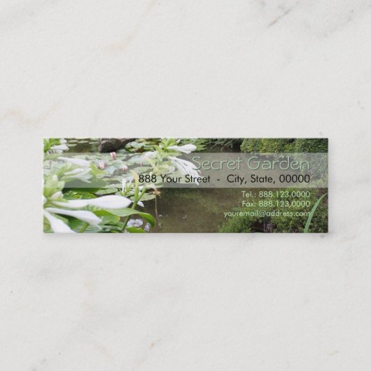 Hosta in Zen Garden Mini Visitenkarte (Vorderseite)