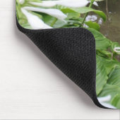 Hosta in Zen Garden Mousepad (Ecke)