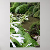 Hosta in Zen Garden Poster (Vorne)