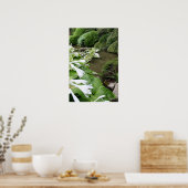 Hosta in Zen Garden Poster (Küche)
