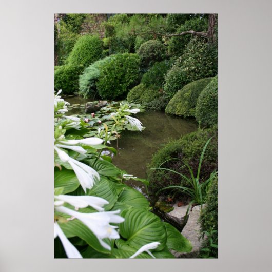 Hosta in Zen Garden Poster (Vorne)