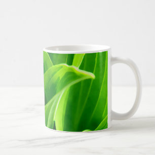 Hosta Kaffeetasse