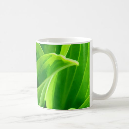 Hosta Kaffeetasse (Rechts)