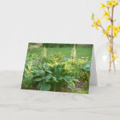 Hosta Karte (Gelbe Blume)