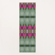 Hosta La Vista zu 13