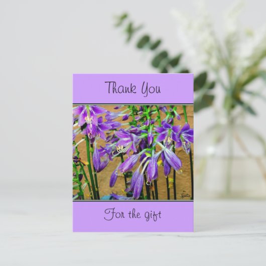 Hosta Lila Blume Postcard Postkarte (Stehend Vorderseite)