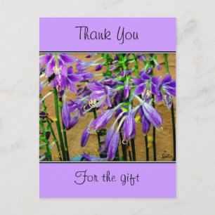 Hosta Lila Blumen Postkarte