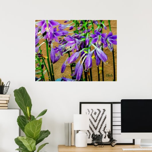 Hosta Lila Flower Garden Poster (Heimbüro)