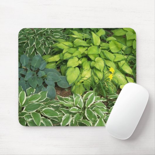 Hosta Mousepad (Mit Mouse)