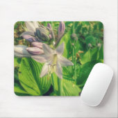 Hosta Mousepad (Mit Mouse)