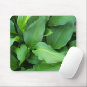 Hosta Mousepad (Mit Mouse)