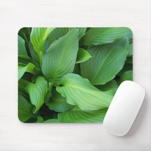 Hosta Mousepad (Mit Mouse)