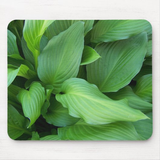 Hosta Mousepad (Vorne)