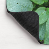 Hosta Mousepad (Ecke)