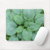 Hosta Mousepad (Mit Mouse)