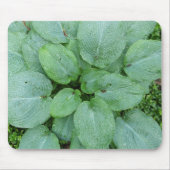 Hosta Mousepad (Vorne)