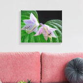 Hosta Pflanze Leaf und Blume Leinwanddruck (Insitu (Wohnzimmer))