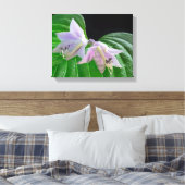 Hosta Pflanze Leaf und Blume Leinwanddruck (Insitu (Schlafzimmer))