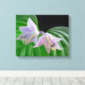 Hosta Pflanze Leaf und Blume Leinwanddruck (Insitu (Holzboden))