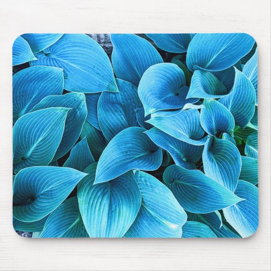 Hosta Pflanze Mousepad (Vorne)
