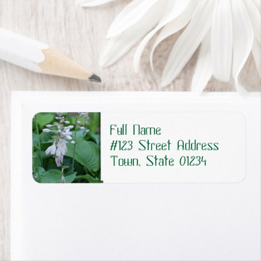 Hosta Pflanze Rücksendeadresse Mailing Labels (Insitu)