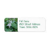 Hosta Pflanze Rücksendeadresse Mailing Labels (Vorne)
