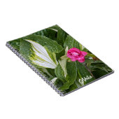 Hosta Pflanze und Rosa Azalea Floral Notizblock (Rechte Seite)