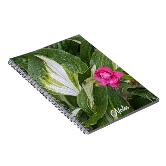 Hosta Pflanze und Rosa Azalea Floral Notizblock (Rechte Seite)