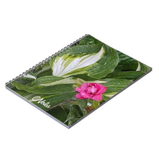 Hosta Pflanze und Rosa Azalea Floral Notizblock (Linke Seite)