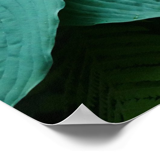Hosta und Fern Poster (Ecke)