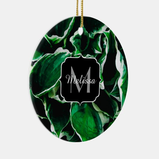 Hosta undulata lebhafte grüne Pflanze Blätter Mono Keramik Ornament (Rechts)