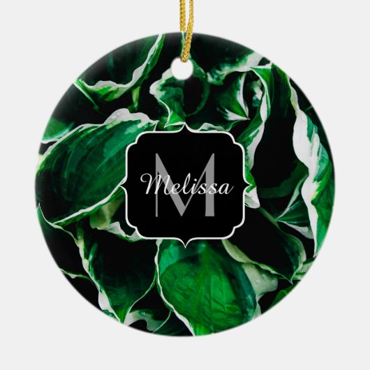 Hosta undulata lebhafte grüne Pflanze Blätter Mono Keramik Ornament (Vorne)