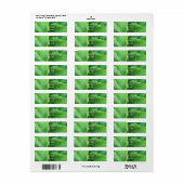 Hosta Verlasse Rücksendeadressen-Aufkleber (Vorne)