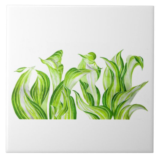 'Hosta with Mosta' auf einer Keramik Tile Fliese (Vorderseite)