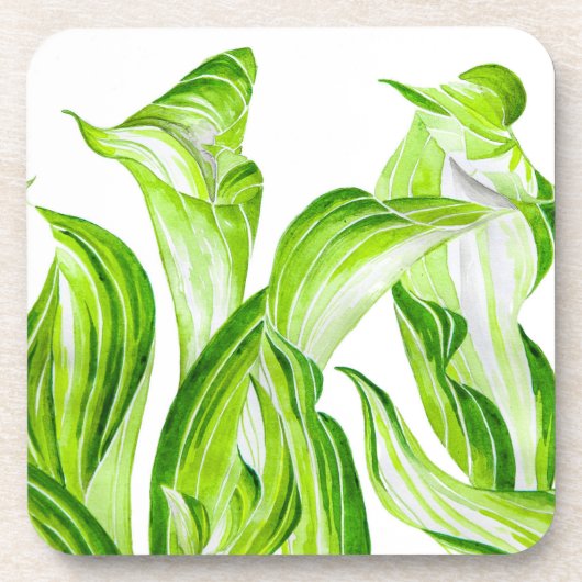 'Hosta with Mosta' auf Untersetzer Set (Vorderseite)