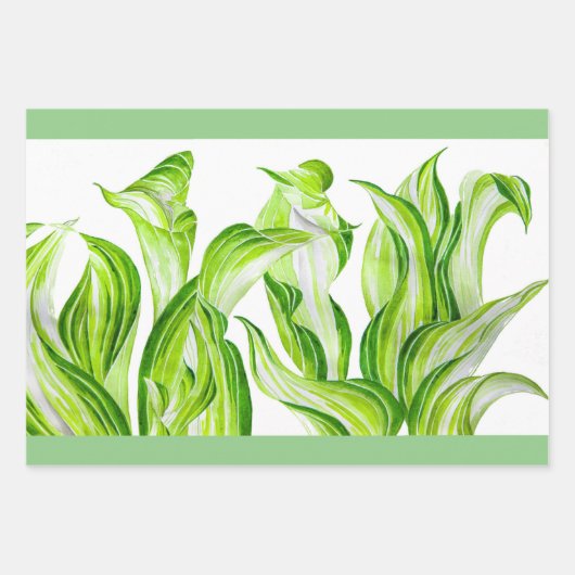 'Hosta with Mosta' Wrapping Paper Set Geschenkpapier Set (Vorderseite 3)