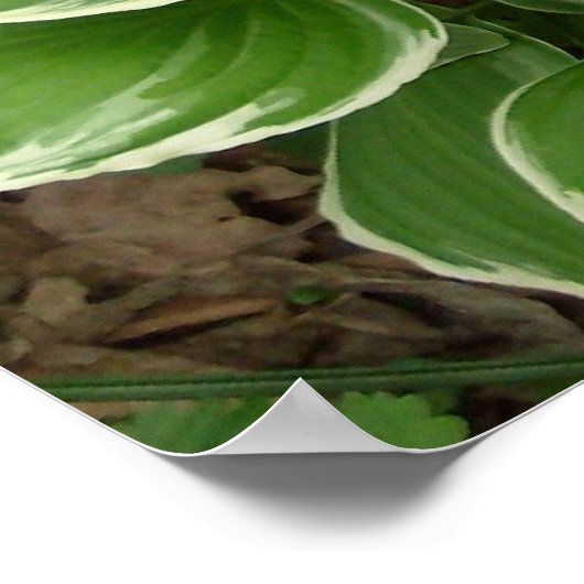 Hosting Poster (Ecke)