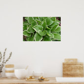 Hosting Poster (Küche)