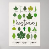 Hostoak Poster (Vorne)