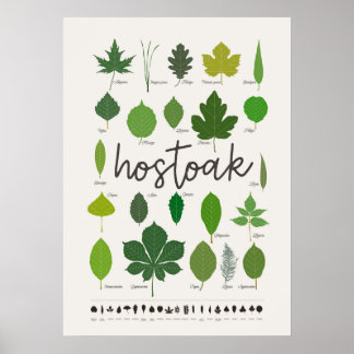 Hostoak Poster